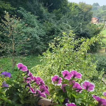 Ilidza Heart Of The Nature By Armin Slivlje
