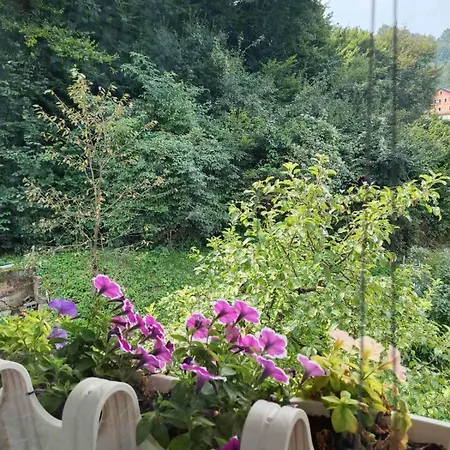 Ilidza Heart Of The Nature By Armin Daire *