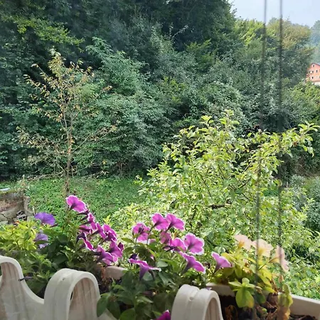 Ilidza Heart Of The Nature By Armin Daire